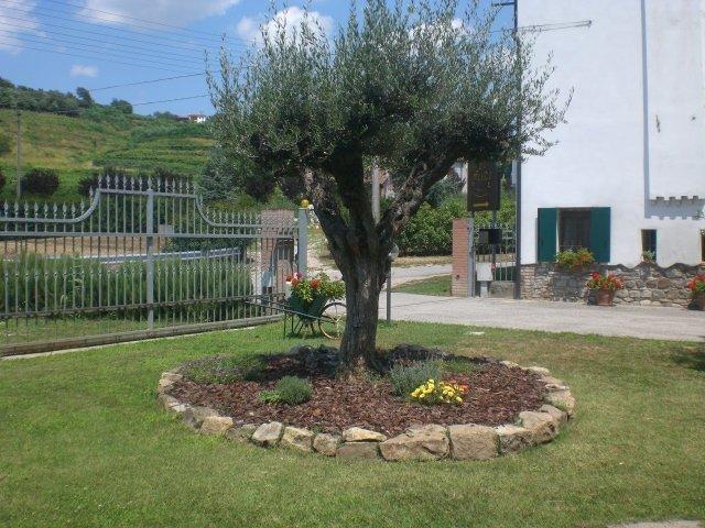 Il Feudo Villa Vo Euganeo Dış mekan fotoğraf